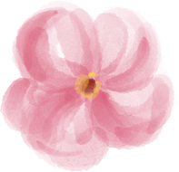 Sheer Pink Flower  Illustration 