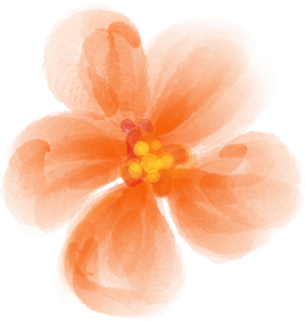 Isolated Orange Flower Watercolor 